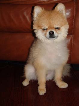 philippe